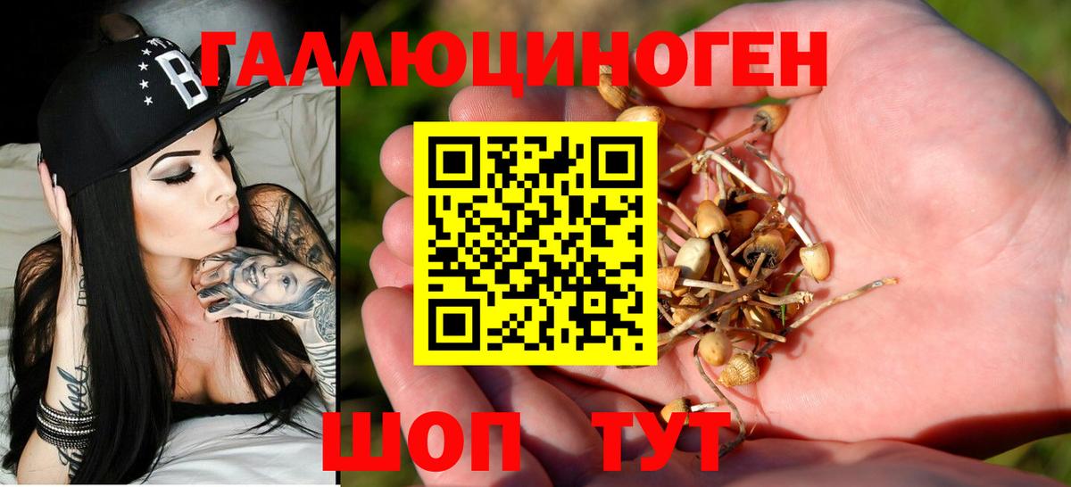 Славгород  купить наркоту  Вход с VPN  Галлюциногенные грибы ЛСД  Галлюциногенные грибы Psilocybe 